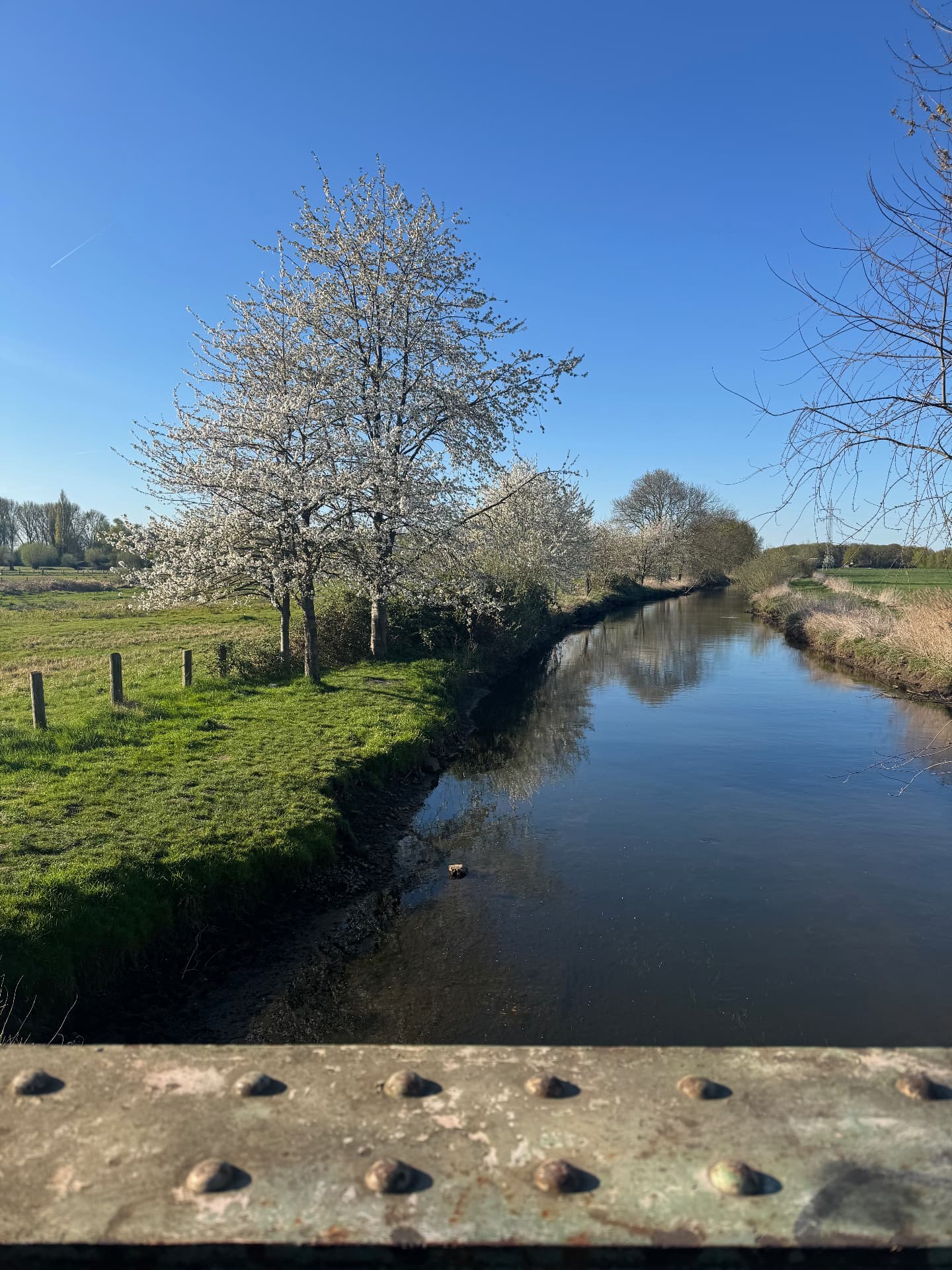 Blick von einer Brücke auf die Niers mit blühenden Bäumen am Ufer