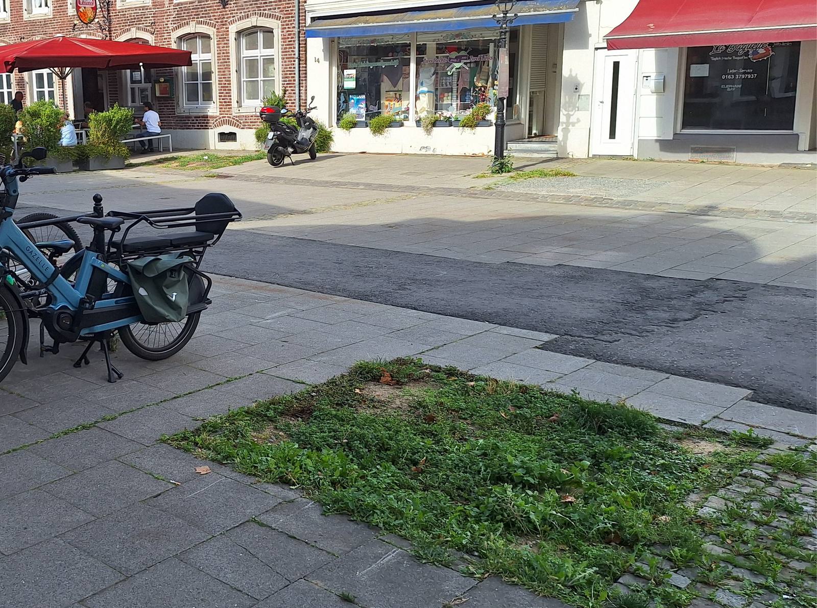 Baumscheibe mit Unkraut und versiegelten Flächen am Weberbrunnen